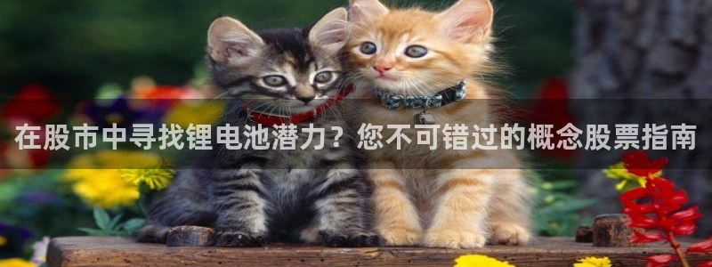 尊龙官网注册